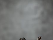 The Interesting Case Of The Divino Plastic Surgery Lawsuit divino plastic surgery lawsuit