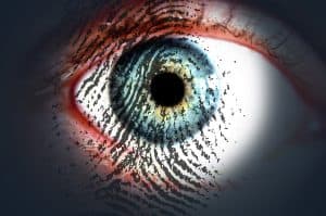 How to Become a Confidential Informant