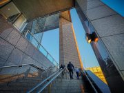 Why is personal injury law a flourishing career option? career