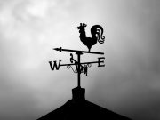 Tips for Filing a Successful Hurricane Damage Claim