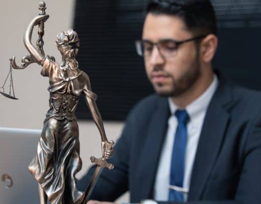 The Intricacies of the Legal Defense System: Insights and Perspectives The Intricacies of the Legal Defense System: Insights and Perspectives